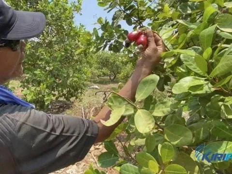 Campuchia đẩy mạnh xây dựng bản sắc thương hiệu quốc gia thông qua một động thái