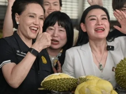 Sầu riêng Thái 'cháy hàng' trên livestream Trung Quốc