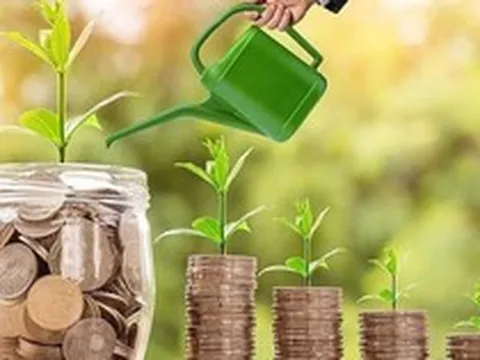 Một công ty chốt ngày trả cổ tức tiền mặt tỷ lệ 20,22%