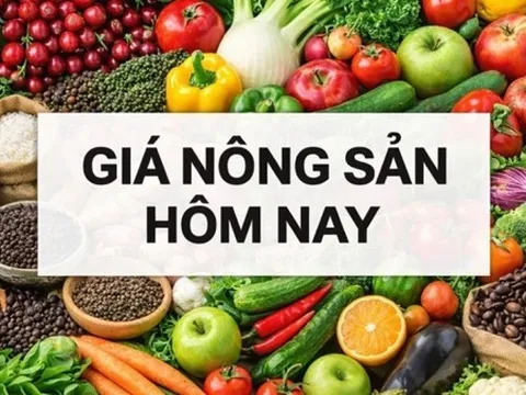 Giá nông sản hôm nay 4/5/2026: Giá cà phê đối mặt thách thức, giá tiêu tăng mạnh; Xuất khẩu khí LNG của Mỹ sang châu Á tăng vọt