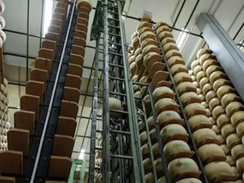 Ngân hàng phô mai của Italy: Khi Parmigiano Reggiano trở thành 'kho vàng tài chính'