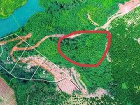 Tin vui cho người mua "đất giấy tay" trước 2024