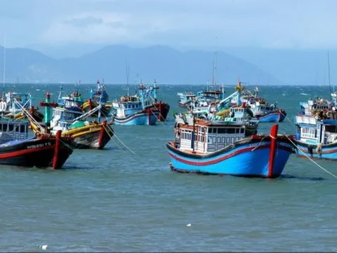 Kiện toàn Ban Chỉ đạo quốc gia về IUU