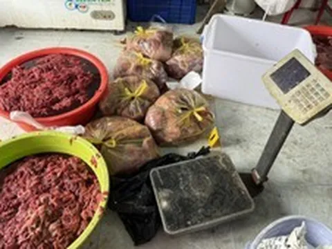 Khởi tố đối tượng làm thịt bò giả, mỗi ngày bán ra thị trường 140 kg