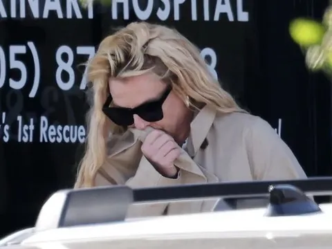 Britney Spears xuất hiện tại cửa hàng thú cưng giữa lúc vướng tin đồn mất kiểm soát