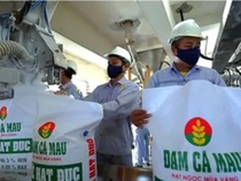 Hưởng lợi lớn từ “cơn sốt” urê toàn cầu, Đạm Cà Mau (DCM) báo lãi đột biến trong quý 1