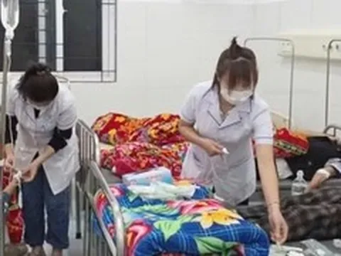 Học sinh nhập viện sau khi ăn quả lạ hái ven rừng, Bộ Y tế vào cuộc