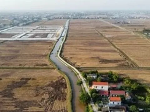 Bỏ cọc hàng loạt sau 'sốt' đấu giá đất vùng quê