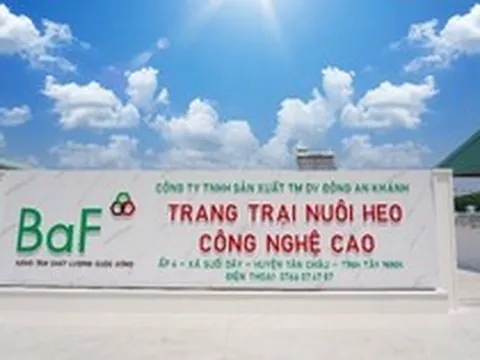 Cầm cố loạt công ty con, BAF vay 1.270 tỷ đồng từ 'đại gia' Hà Lan
