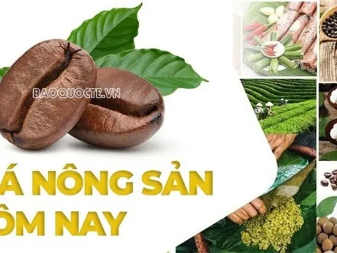 Giá nông sản hôm nay 21/5/2026: Giá cà phê còn giảm, giá gạo chạm đáy; UAE sắp hoàn thành tuyến đường ống xuất khẩu dầu theo đường vòng