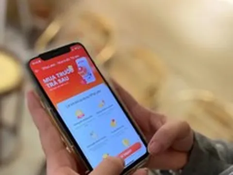 Đứng sau SPayLater của Shopee, Ví Trả sau của Momo,… là những ngân hàng nào?