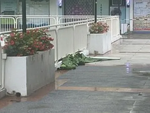 Người đàn ông 61 tuổi tử vong vì rơi lầu chung cư, vợ và con trai bị bắt