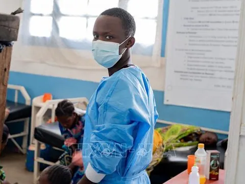 Bổ sung thêm 6 chủng virus mới vào phác đồ điều trị bệnh Ebola