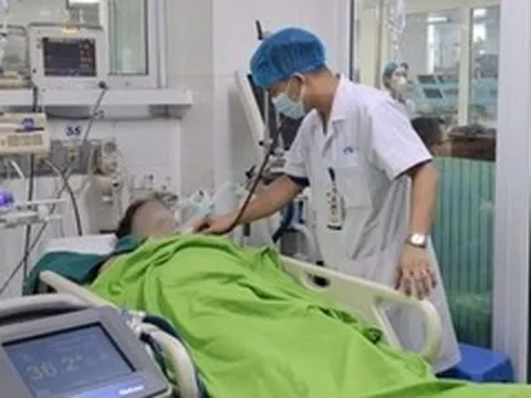 Ngất giữa đồng sau hai giờ gặt lúa dưới nắng gắt
