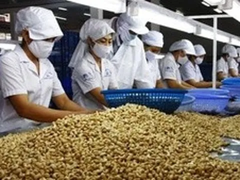 Bộ NN&MT đề xuất bãi bỏ hơn 100 văn bản không còn phù hợp