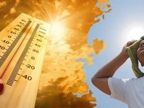 Nhiều ca suy thận cấp nguy hiểm do làm việc lâu dưới trời nắng nóng, thiếu nước