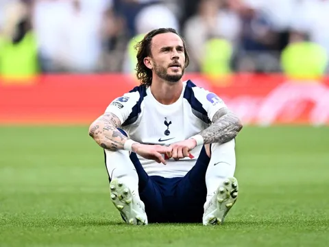Tottenham đang trả giá vì chính sân nhà quá 'xịn'