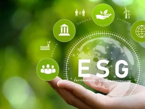 Doanh nghiệp loay hoay với bài toán ‘xanh hóa’