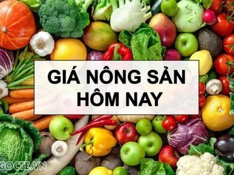 Giá nông sản hôm nay 29/5/2026: Giá cà phê tăng cao, trong nước tạm đạt điểm cân bằng, Trung Quốc 'mở rộng cửa' cho cà phê từ 53 quốc gia châu Phi
