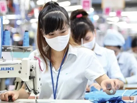 Đo sức bật của kinh tế tư nhân