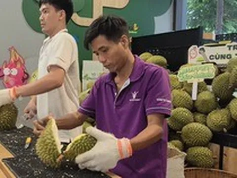 Đi ăn buffet sầu riêng, gặp thợ gõ - khui sầu riêng lương 60 triệu đồng/tháng