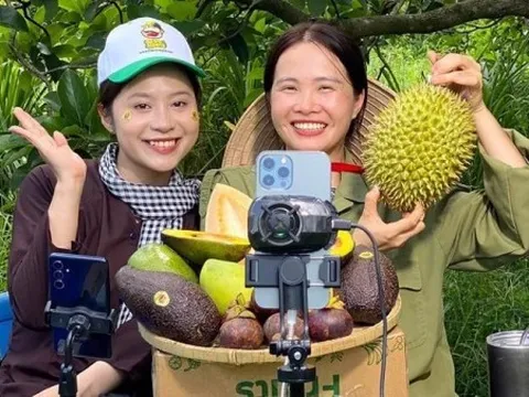 Trang mới của thương mại nông sản Việt: Khi sản phẩm tiếp cận người dùng chỉ qua một chiếc điện thoại