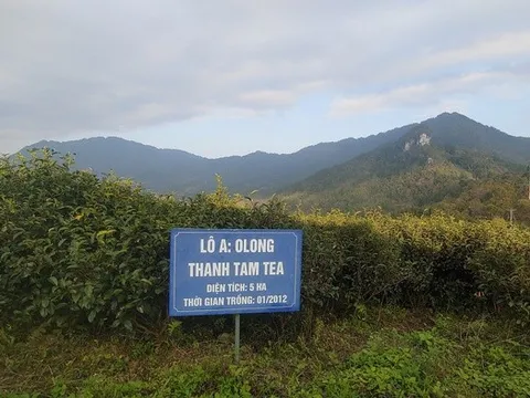 Xây dựng bản đồ số du lịch nông thôn Việt Nam