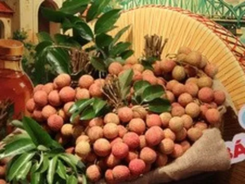 Hà Nội: Mở bán vải thiều, mỳ chũ Bắc Ninh ngay tại 'phố hàng hiệu' Tràng Tiền