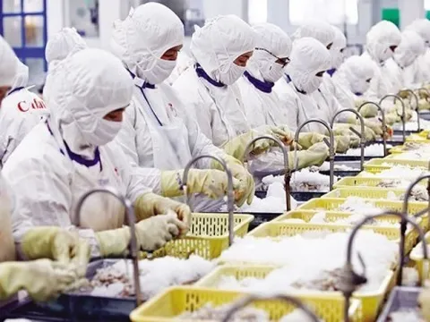 Rủi ro thương mại nghiêm trọng từ động thái chính sách mới của Hoa Kỳ, doanh nghiệp cần làm gì?
