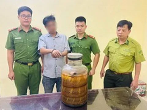 Bắt quả tang người đàn ông mang động vật quý hiếm ngâm rượu đi bán