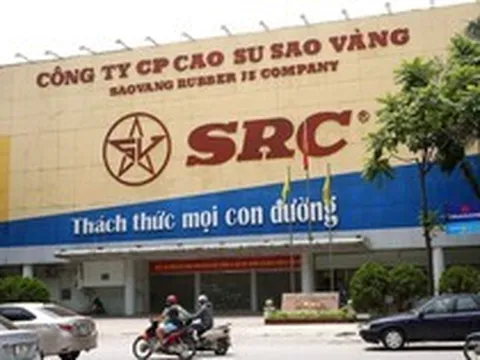 Lãi quý 1 tăng 250%, một doanh nghiệp sắp chốt quyền nhận "combo" cổ tức tiền mặt và cổ phiếu thưởng tỷ lệ 30%