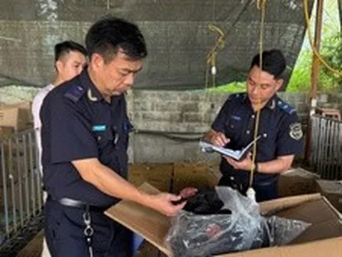 Hải quan quyết liệt chống buôn lậu, hàng giả và ma túy