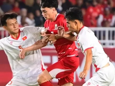 Phản ứng của CĐV Đông Nam Á khi U19 Việt Nam thua Indonesia