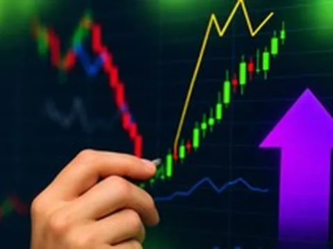Cổ phiếu tăng gần 60% sau 7 phiên, doanh nghiệp tự đề nghị cơ quan quản lý kiểm tra giao dịch