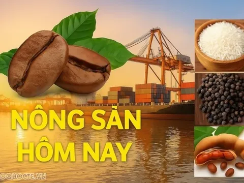 Giá nông sản hôm nay 10/6/2026: Giá cà phê khó giảm sâu, Giá tiêu vào đợt tăng mới; EU chấm dứt ưu đãi với hàng nhập khẩu giá rẻ từ nền tảng TMĐT