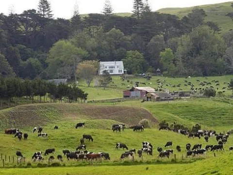 New Zealand kỳ vọng xuất khẩu nông nghiệp đạt mức kỷ lục
