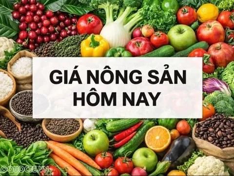 Giá nông sản hôm nay 13/6/2026: Giá cà phê robusta tăng vọt, tiếp tục kéo giá trong nước; Giá dầu lao dốc bởi kỳ vọng thỏa thuận Mỹ-Iran tăng