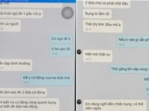 Khởi tố đối tượng cầm đầu đường dây mang thai hộ, mua bán trứng người
