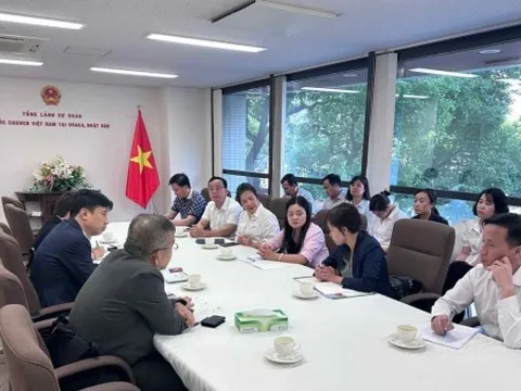 Trà Thái Nguyên tìm hướng đi mới từ kinh nghiệm phát triển ngành trà Nhật Bản
