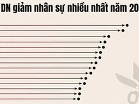 Lộ diện những 'ông lớn' giảm nhân sự nhiều nhất năm 2025: Nhóm ngân hàng áp đảo, Golden Gate, Viettel Post, Hòa Phát... giảm hàng nghìn người