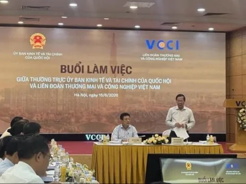 VCCI làm việc với Thường trực Ủy ban Kinh tế và Tài chính của Quốc hội: Tháo gỡ ‘áp lực kép’ cho doanh nghiệp tư nhân