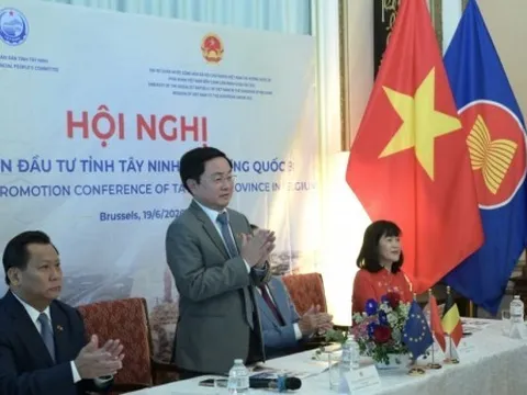Tây Ninh thúc đẩy kết nối đầu tư với các đối tác Bỉ, đón sóng đầu tư mới từ châu Âu