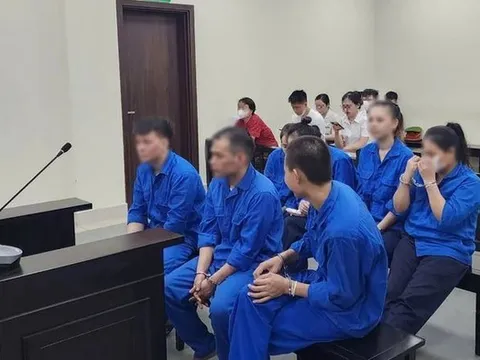 Môi giới mua bán thận qua mạng xã hội, nhóm bị cáo trả giá đắt