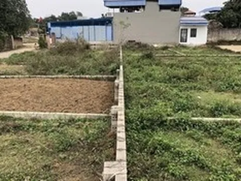 Góp vốn đầu tư đất nền, 2 người phụ nữ bị lừa 7,7 tỷ đồng