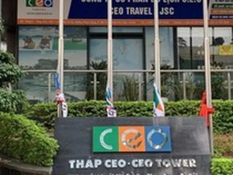 CEO Group góp vốn thành lập 2 công ty con trong lĩnh vực giáo dục