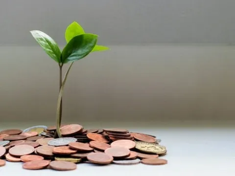 Tài chính bán lẻ xanh: Tiềm năng chưa được 'đánh thức' của kinh tế Việt Nam