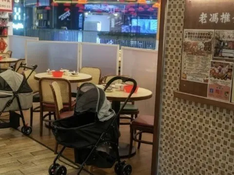 Hong Kong mở cửa đón 'thực khách bốn chân', kỳ vọng thúc đẩy nền kinh tế thú cưng