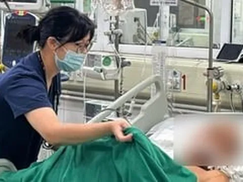 Hôn mê sau hai ngày ăn tiết canh lợn