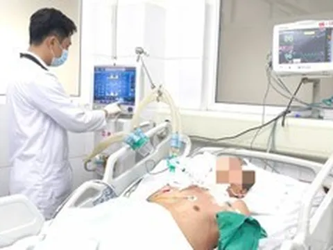 Cụ ông 94 tuổi nguy kịch sau khi bị gà mổ vào chân