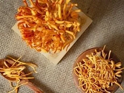 Đông trùng hạ thảo có tác dụng gì, ai nên sử dụng?